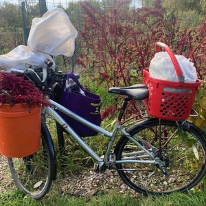 Dynamic Bicycles Tempo Silver, gray or bare metal