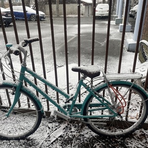 2024 Brooklyn Bicycle Co. Franklin Green and Teal