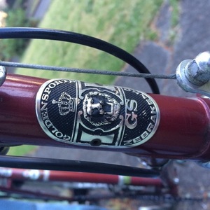 Zebrakenko Golden Sports Red