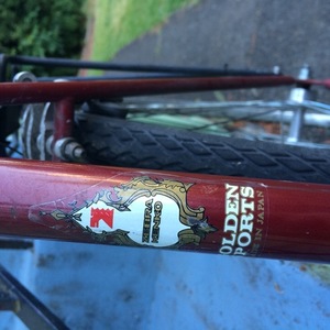 Zebrakenko Golden Sports Red