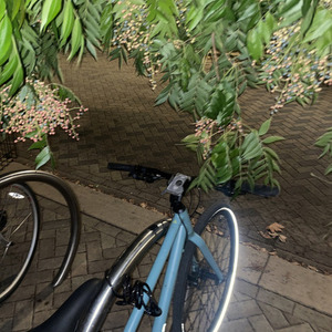 2023 REI Co-op CTY 1.1 Step-through Blue