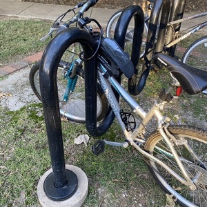 Mongoose Silver, gray or bare metal