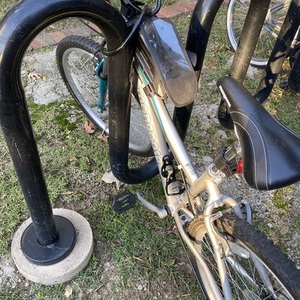 Mongoose Silver, gray or bare metal