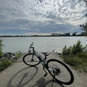 2022 Giant Alight 2 DD Disc Green