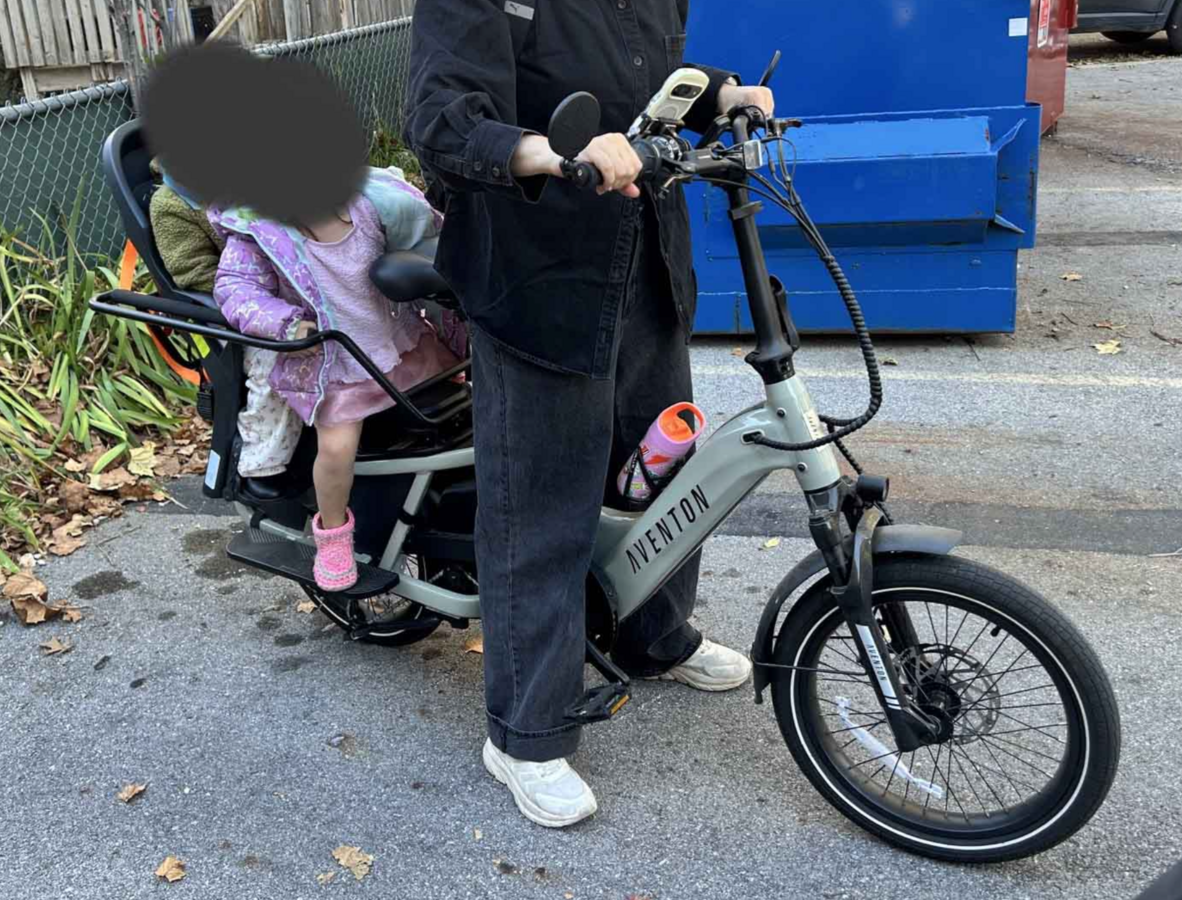 Cargo Bike Rear photo
