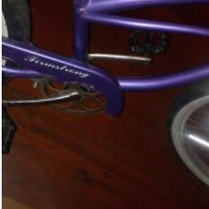 1999 Firmstrong TMSH1400666 Purple