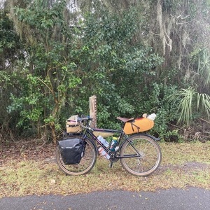 1993 Specialized Rockhopper Black and Purple