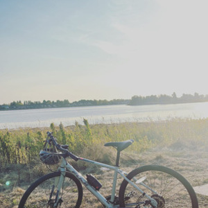 2022 Fuji ABSOLUTE 1.7 Silver, gray or bare metal