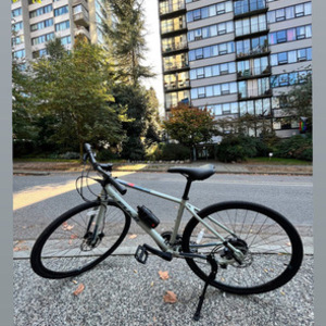 2022 Fuji ABSOLUTE 1.7 Silver, gray or bare metal