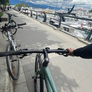 2022 Giant Alight 2 DD Disc Green