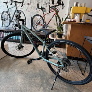 2022 Giant Alight 2 DD Disc Green