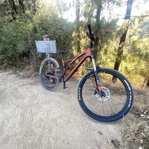 2022 Specialized STUMPJUMPER Yellow or Gold