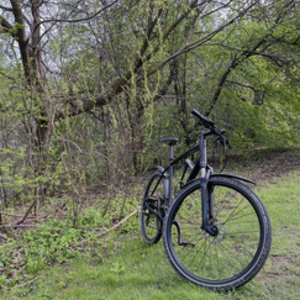 2017 Specialized Cross trail Black