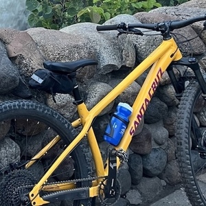 2022 Santa Cruz Chameleon