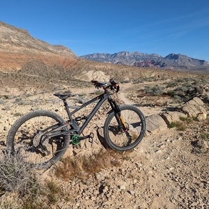 2021 Orange Bikes Stage Evo Silver, gray or bare metal