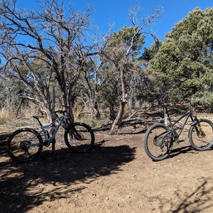 2017 SCOTT Spark White and Teal