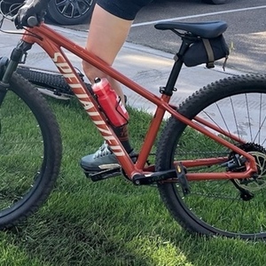 2021 Specialized Rockhopper Elite