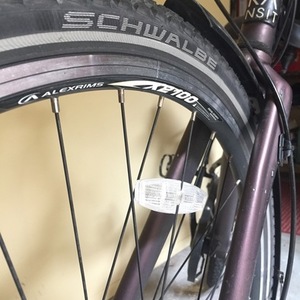 2010 Transit Rosemary Purple