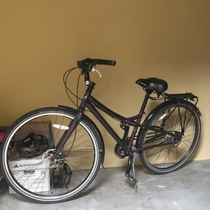 2010 Transit Rosemary Purple