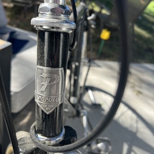 2018 6KU Populo 8-Speed Black and Brown