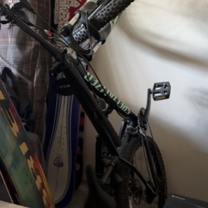 2021 Specialized Rockhopper Green
