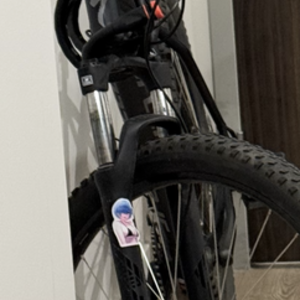 2024 Specialized ROCKHOPPER BASE Silver, gray or bare metal