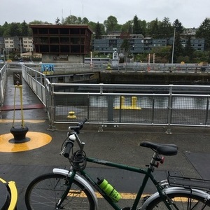 Trek mountain track Green