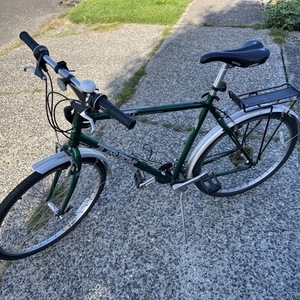 Trek mountain track Green