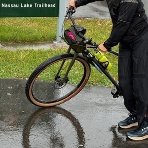 2024 Wilde Supertramp Green and Silver, gray or bare metal