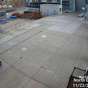 Specialized Black and Teal