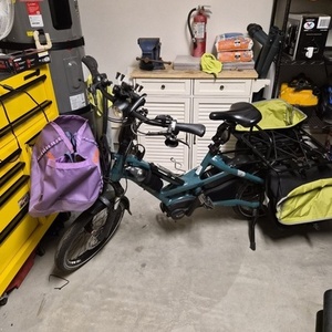 2025 Tern HSD P5i Green