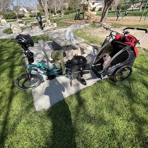 2025 Tern HSD P5i Green