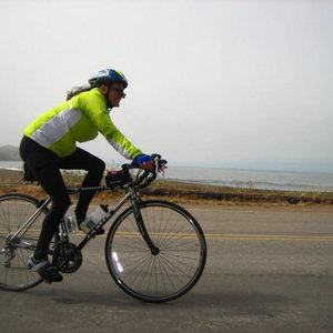 2008 Jamis Satellite Silver or Gray