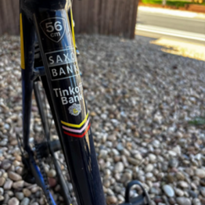 2011 Specialized Allez Sport Compact Blue and Yellow or Gold