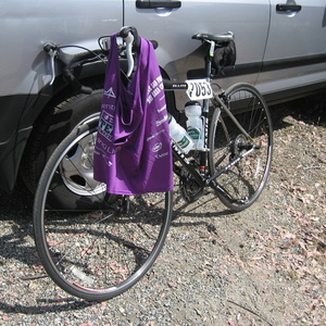 2008 Jamis Satellite Silver or Gray