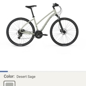 2025 REI Co-op Green