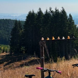 2022 Kona Cinder Cone Teal