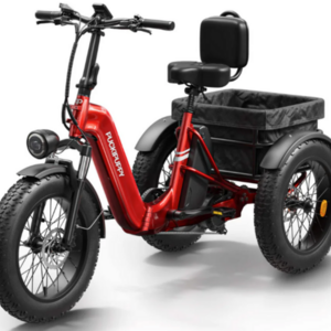2025 PuckiPuppy Husky eTrike tricycle Red
