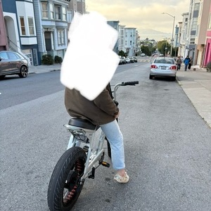 2022 Super73 ZX Silver, gray or bare metal