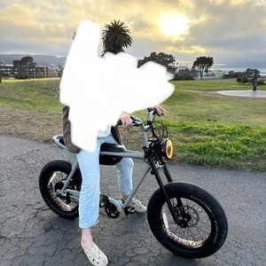 2022 Super73 Silver, gray or bare metal