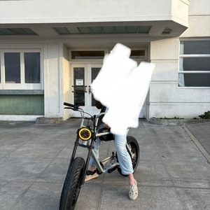 2022 Super73 Silver, gray or bare metal