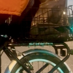 Schwinn 20in Aerostar Aluminum Black