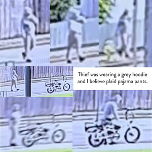 2024 Lectric Cycles XPedition1 White