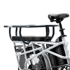 2024 Lectric Cycles XPedition1 White