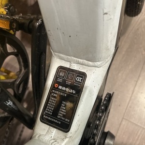 2025 Yadea Black and White