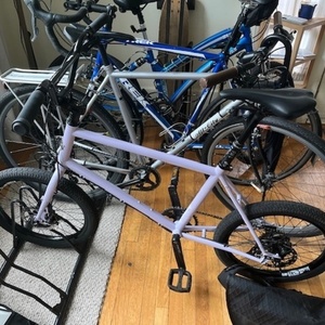 Kyoot itty bitty Purple