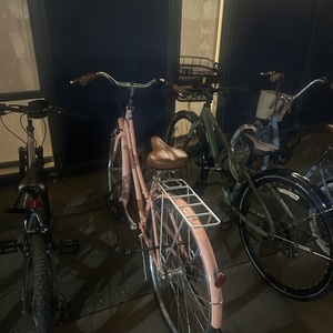 2025 Micargi Pink