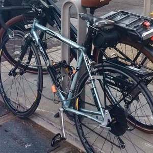 2004 Specialized Dolce Comp Blue