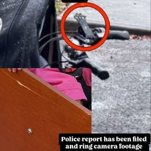 2023 Bakfiets E-Cargo Classic Long - Disc Brakes - ... Black