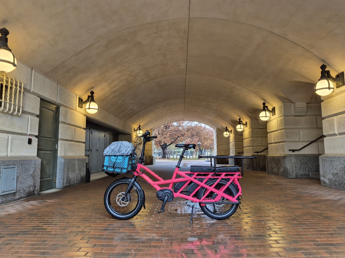 Cargo Bike Rear photo